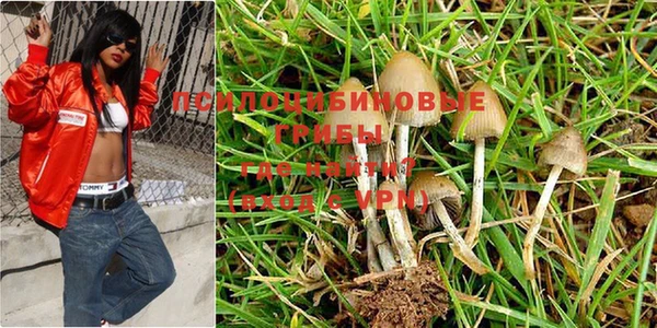 прущие крисы Алексин